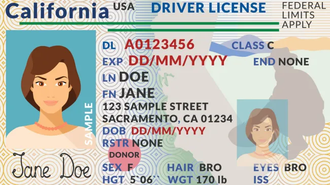license